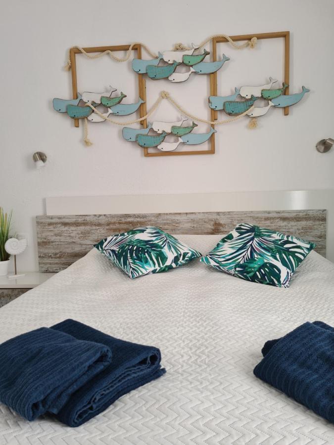 Ocean Forty C Apt. Green Oasis Costa Calma Fue מראה חיצוני תמונה